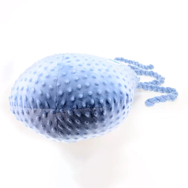 Octopus - Image 4