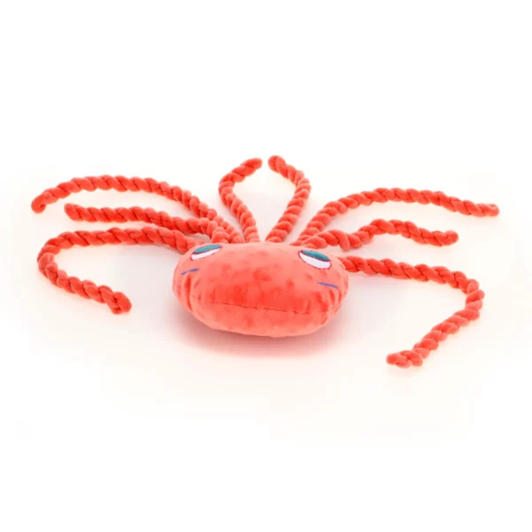 Octopus petit - Image 4