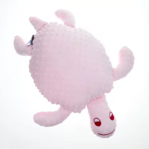 Coussin Tortue
